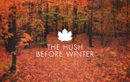 November 2011