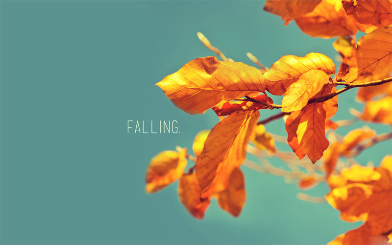 november wallpaper
