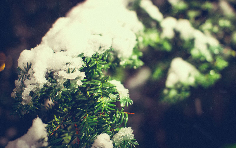 December 2012