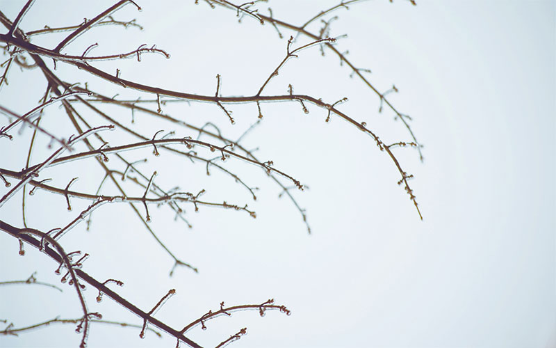 December 2014
