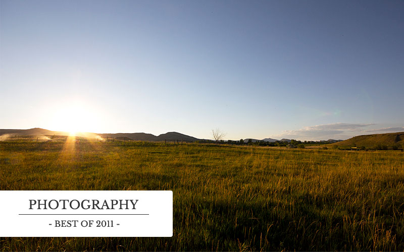 Photography - Best of 2011